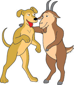 Dog/Capricorn DoubleSign