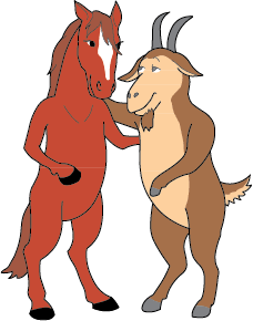 Horse/Capricorn DoubleSign