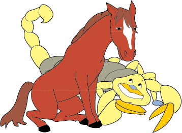 Horse/Scorpio DoubleSign