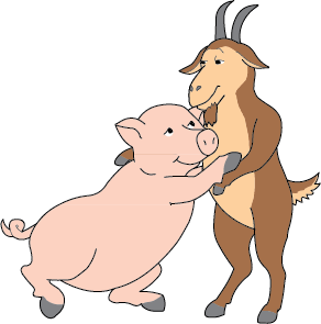 Pig/Capricorn DoubleSign