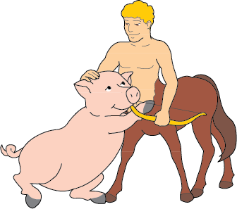 Pig/Sagittarius DoubleSign