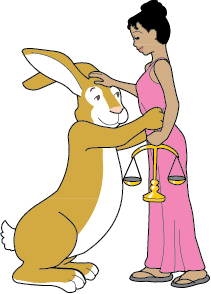 Rabbit/Libra DoubleSign