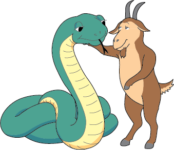 Snake/Capricorn DoubleSign