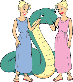 Snake/Gemini DoubleSign