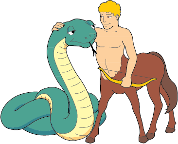 Snake/Sagittarius DoubleSign