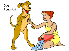 Dog/Aquarius pair illustration