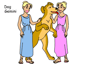 Dog/Gemini pair illustration