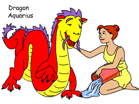 Dragon/Aquarius pair illustration