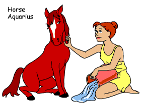 Horse/Aquarius pair illustration