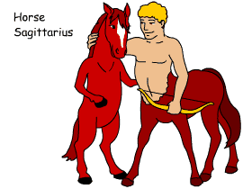 Horse/Sagittarius pair illustration
