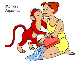 Monkey/Aquarius pair illustration