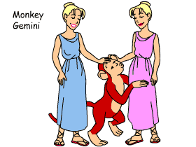 Monkey/Gemini pair illustration