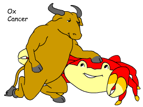 Ox/Cancer pair illustration