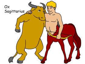 Ox/Sagittarius pair illustration