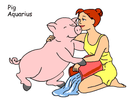 Pig/Aquarius pair illustration