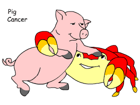 Pig/Cancer pair illustration