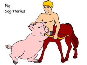Pig/Sagittarius pair illustration