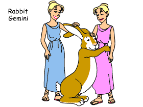 Rabbit/Gemini pair illustration