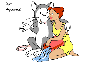 Rat/Aquarius pair illustration