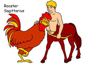 Rooster/Sagittarius pair illustration