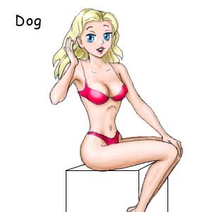 Dog female in sex