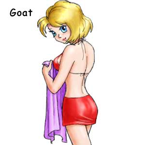 Goat female in sex