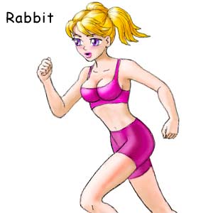 Rabbit female in sex