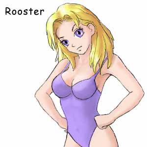 Rooster female in sex