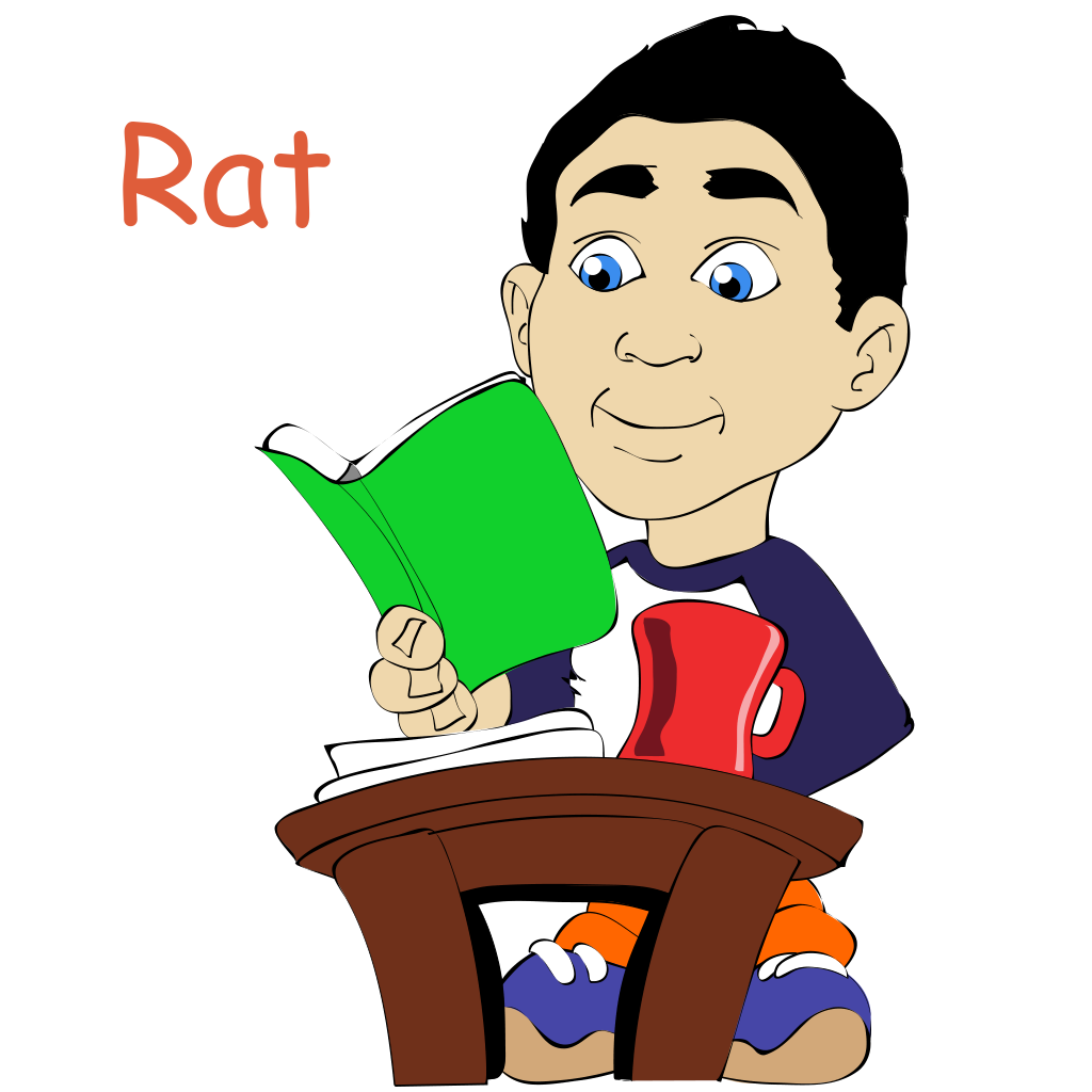 Year of the Rat