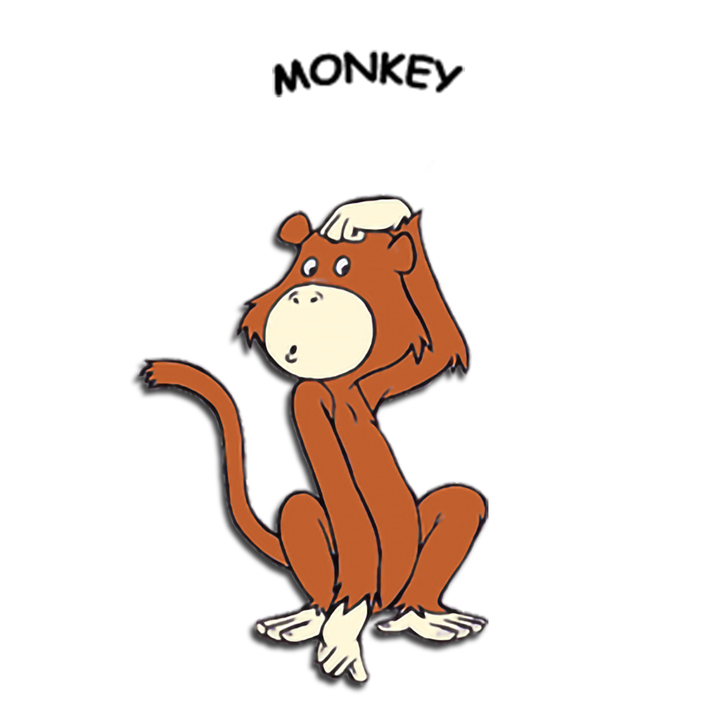 Year of the Monkey