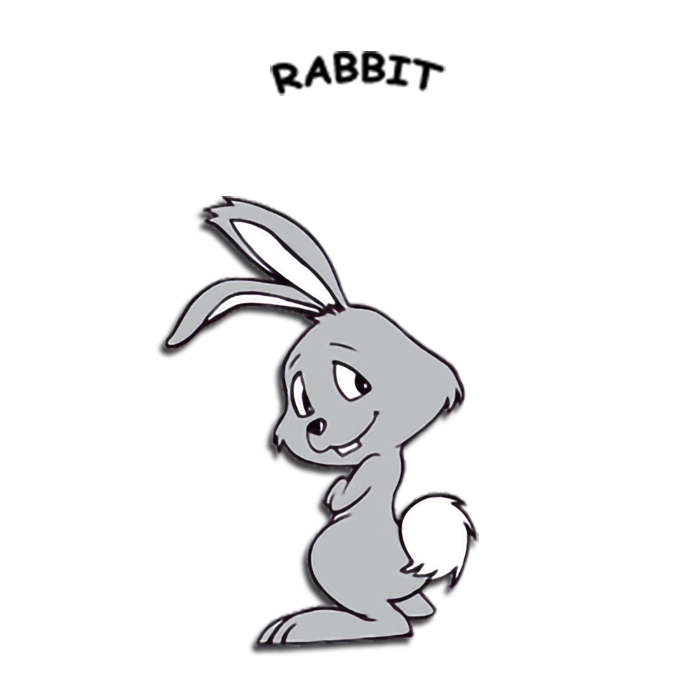 Year of the Rabbit