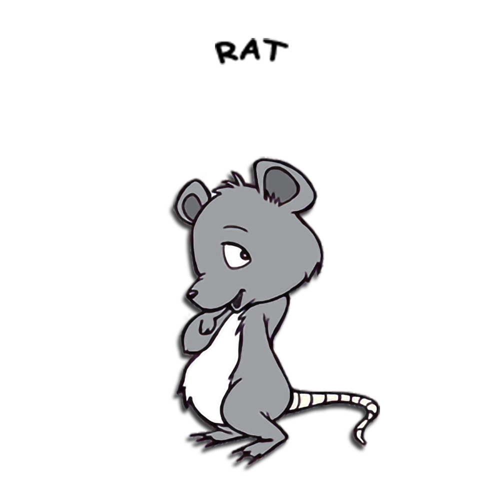 Year of the Rat