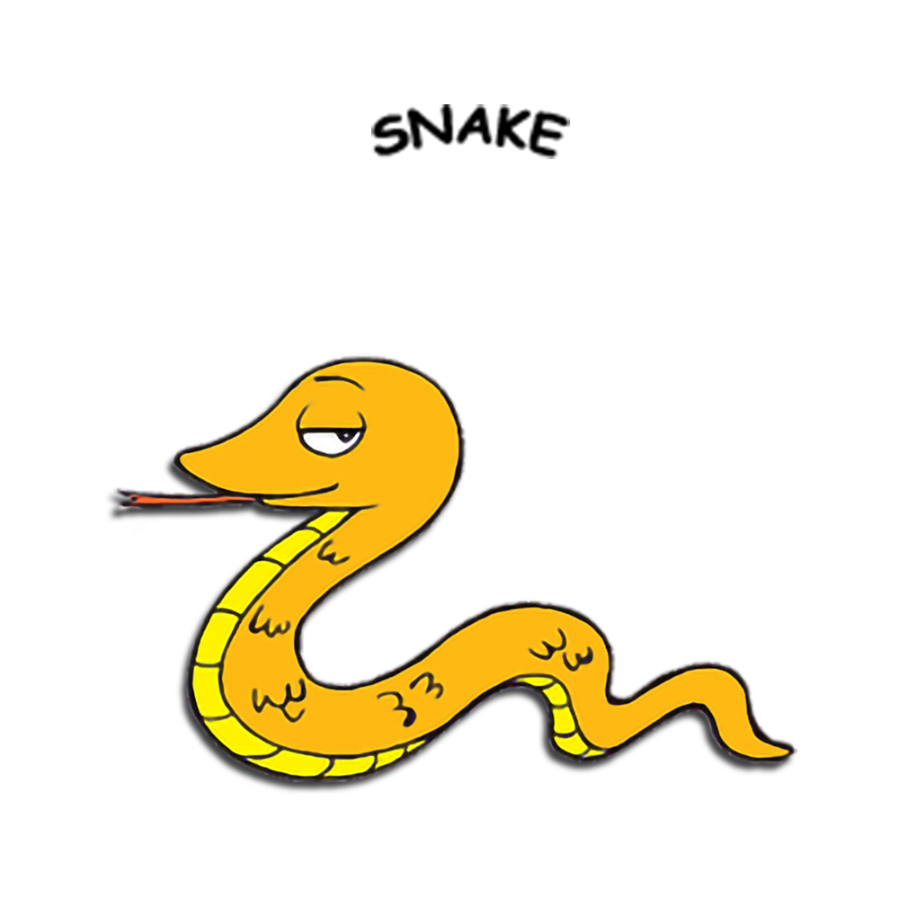 Year of the Snake