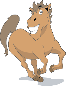 Year of the Horse