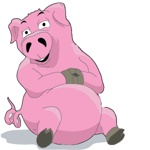Year of the Pig