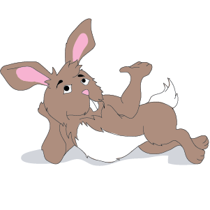 Year of the Rabbit