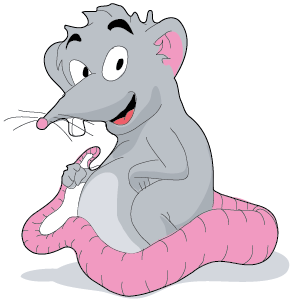 Year of the Rat