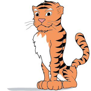 Year of the Tiger
