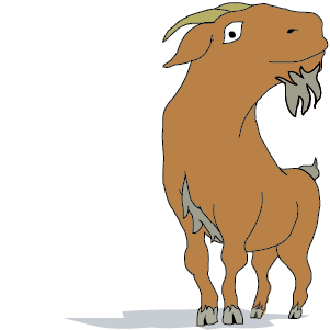 Capricorn