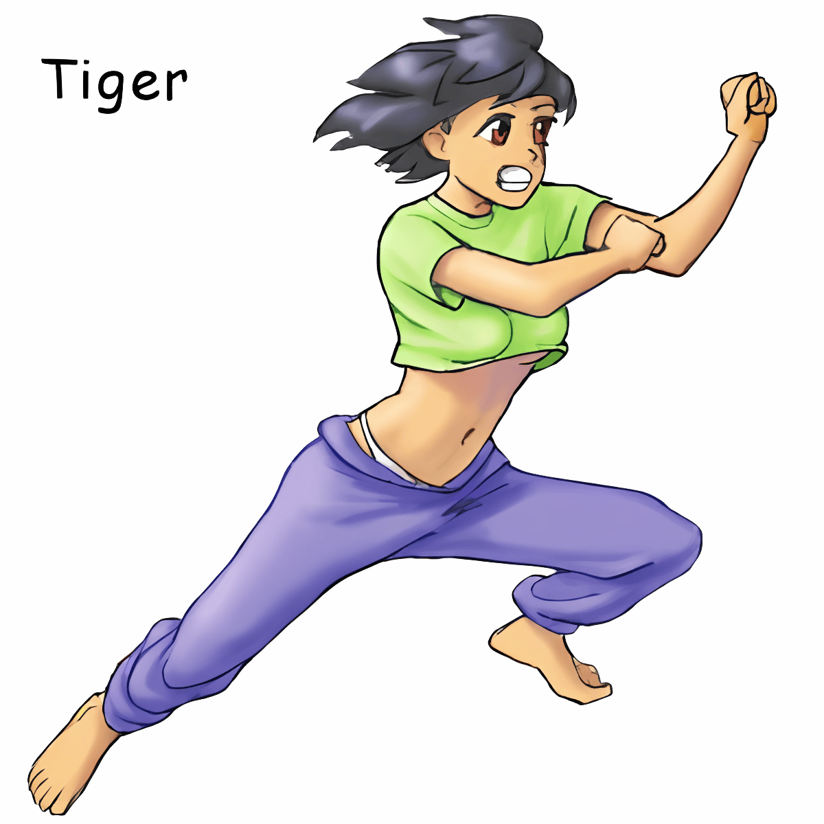 Year of the Tiger